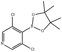 2,3-二氯-4-吡啶硼酸频那醇酯, 1257641-28-3, 结构式