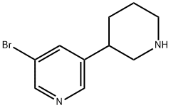 3-broMo-5-(piperidin-3-yl)pyridine 结构式