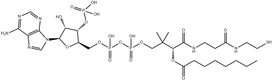 Octanoyl coenzyme A Struktur