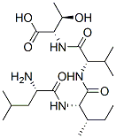 leucyl-isoleucyl-valyl-threonine binding protein Struktur