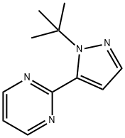 2-(1-tert-butyl-1H-pyrazol-5-yl)pyriMidine Struktur