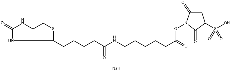 6-[[5-(六氢-2-氧代-1H-噻吩并[3,4-D]咪唑-4-基)-1-氧代戊基]氨基]己酸 2,5-二氧代-3-磺酸-1-吡咯烷基酯钠盐 (1:1),127062-22-0,结构式