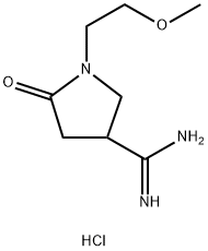 1-(2-Methoxyethyl)-2-oxopyrrolidine-4-carboxaMidine Hydrochloride|1-(2-甲氧基乙基)-2-氧代吡咯烷-4-甲脒盐酸盐