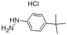 1-(4-叔丁基苯)肼盐酸盐,128231-55-0,结构式