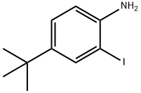 2-碘-4-叔丁基苯胺,128318-63-8,结构式