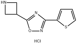 5-AZETIDIN-3-YL-3-(2-THIENYL)-1,2,4-OXADIAZOLE HYDROCHLORIDE 结构式