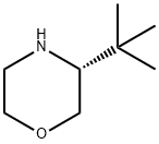 (R)-3-叔丁基吗啉, 1286768-66-8, 结构式