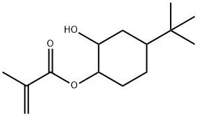 128840-36-8 4-tert-butyl-2-hydroxycyclohexylmethacrylate