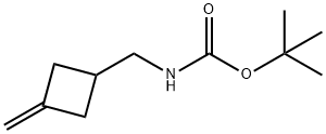 Carbamic acid, [(3-methylenecyclobutyl)methyl]-, 1,1-dimethylethyl ester (9CI) Struktur