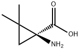 Cyclopropanecarboxylic acid, 1-amino-2,2-dimethyl-, (1S)- (9CI) Struktur