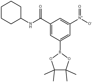 BenzaMide, N-cyclohexyl-3-nitro-5-(4,4,5,5-tetraMethyl-1,3,2-dioxaborolan-2-yl)- Structure