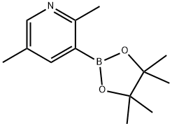2,5-二甲基-3-吡啶硼酸片呐酯 结构式