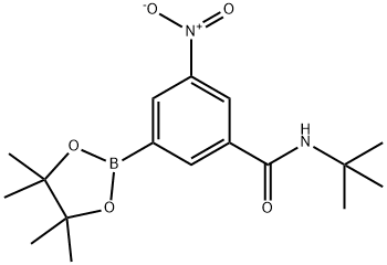 BenzaMide, N-(1,1-diMethylethyl)-3-nitro-5-(4,4,5,5-tetraMethyl-1,3,2-dioxaborolan-2-yl)- Structure