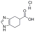 4,5,6,7-Tetrahydro-1H-benzoiMidazole-5-carboxylic acid hydrochloride