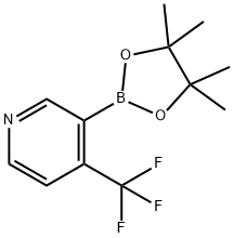 4-(三氟甲基)吡啶-3-硼酸频那醇酯, 1310405-06-1, 结构式