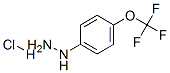 4-(Trifluoromethoxy)PhenylhydrazineHydrochloride Struktur