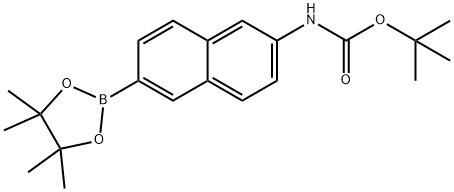 tert-butyl 6-(4,4,5,5-tetraMethyl-1,3,2-dioxaborolan-2-yl)naphthalen-2-ylcarbaMate, 1312611-41-8, 结构式
