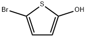 1313392-39-0 2-羟基-5-溴噻吩