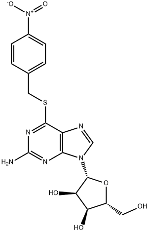 NBTGR Structure