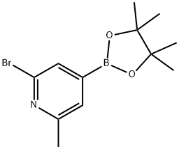 2-Bromo-6-methyl-4-(4,4,5,5-tetramethyl-1,3,2-dioxaborolan-2-yl)pyridine price.