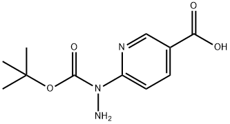 6-[2-(tert-ブトキシカルボニル)ヒドラジン-1-イル]ニコチン酸 化学構造式