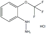 1-(2-(trifluoromethoxy)phenyl)hydrazine(HCl) Struktur