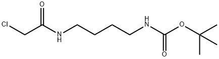 N-[4-(2-氯乙酰氨基)丁基]氨基甲酸叔丁酯,133264-58-1,结构式
