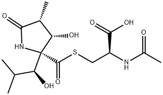 (2R)-2-(アセチルアミノ)-3-[[[(2R,3S,4R)-2-[(1S)-2-メチル-1-ヒドロキシプロピル]-3-ヒドロキシ-4-メチル-5-オキソピロリジン-2-イル]カルボニル]チオ]プロピオン酸 化学構造式