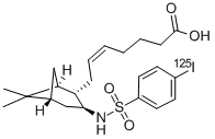 125I-SAP Structure