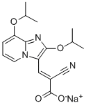 SJC 13 Structure