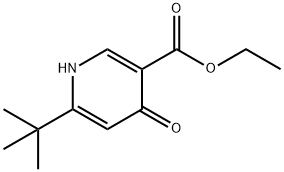 Ethyl 6-(tert-butyl)-4-oxo-1,4-dihydropyridine-3-carboxylate Struktur