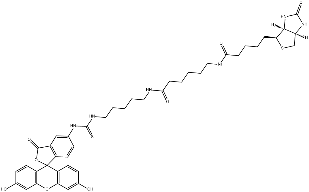 FLUORESCEIN BIOTIN [5-((N-(5-(N-(6-(BIOTINOYL)AMINO)HEXANOYL)AMINO)PENTYL)THIOUREIDYL)FLUORESCEIN], 134759-22-1, 结构式