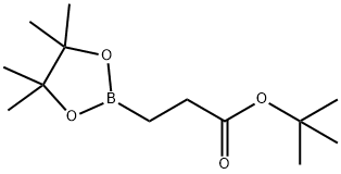 tert-Butyl 3-(4,4,5,5-tetramethyl-[1,3,2]dioxaborolan-2-yl) propionate Structure