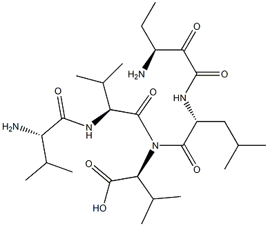 N-[N-[(S)-3-[(N-L-バリル-L-バリル)アミノ]-1,2-ジオキソペンチル]-D-ロイシル]-L-バリン 化学構造式