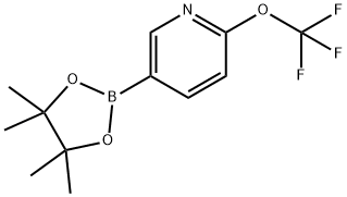 6-TrifluoroMethoxypyridine-3-boronic acid pinacol ester|6-TrifluoroMethoxypyridine-3-boronic acid pinacol ester