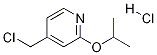 4-(CHLOROMETHYL)-2-ISOPROPOXYPYRIDINE HYDROCHLORIDE 结构式
