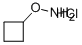 O-Cyclobutyl-hydroxylamine hydrochloride Structure