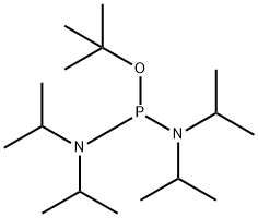 TERT-BUTYL TETRAISOPROPYLPHOSPHORODIAMIDITE 化学構造式