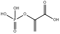 2-dihydroxyphosphinoyloxyacrylic acid Struktur