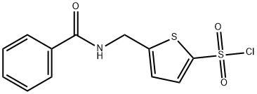 5-ó(苯甲酰胺)甲基]噻酚-2-磺酰氯, 138872-44-3, 结构式