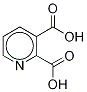 2,3-ピリジン二カルボン酸-D3 (MAJOR) 化学構造式