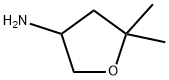 5,5-dimethyltetrahydrofuran-3-amine Structure