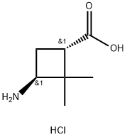 trans-3-Amino-2,2-dimethylcyclobutane-carboxylic acid hydrochloride Structure