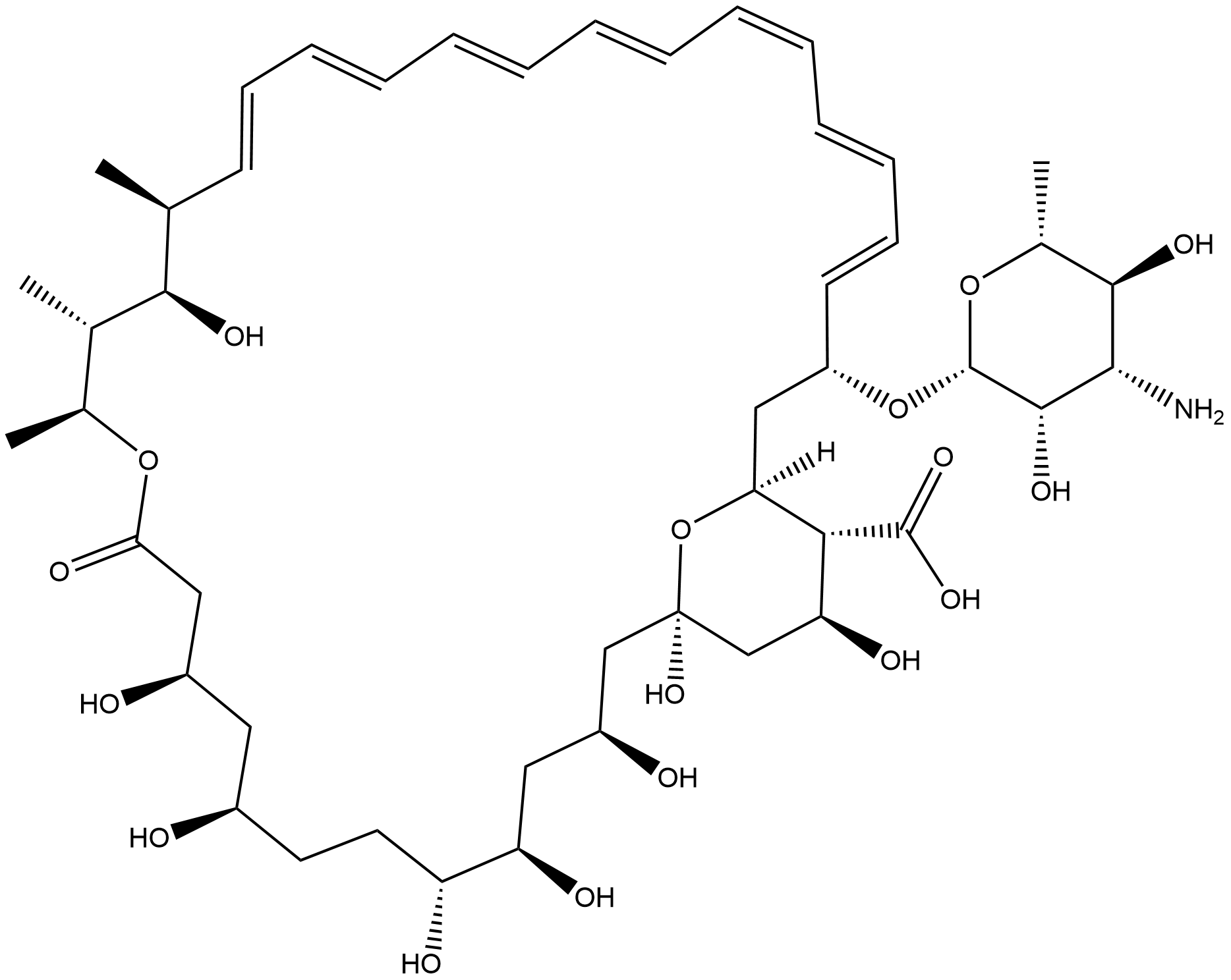 Amphotericin B Structure