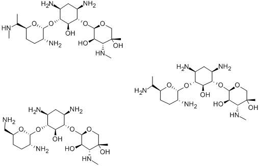 Gentamicin Structure