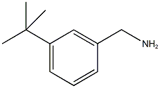 1-(3-叔丁基苯基)甲胺 结构式