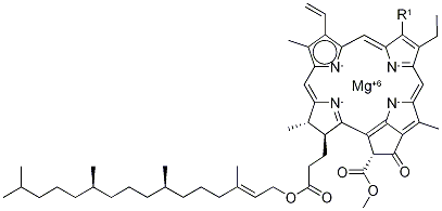 总叶绿素,1406-65-1,结构式