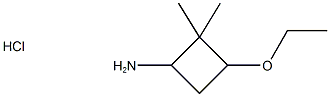 3-Ethoxy-2,2-dimethylcyclobutan-1-amine hydrochloride 结构式