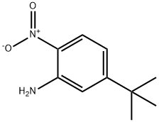 5-叔丁基-2-硝基苯胺, 142564-53-2, 结构式