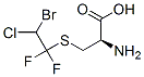 S-(2-bromo-2-chloro-1,1-difluoroethyl)cysteine Structure